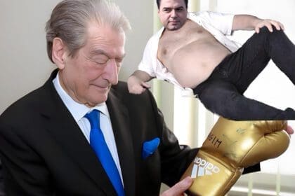 sali berisha lulezim basha